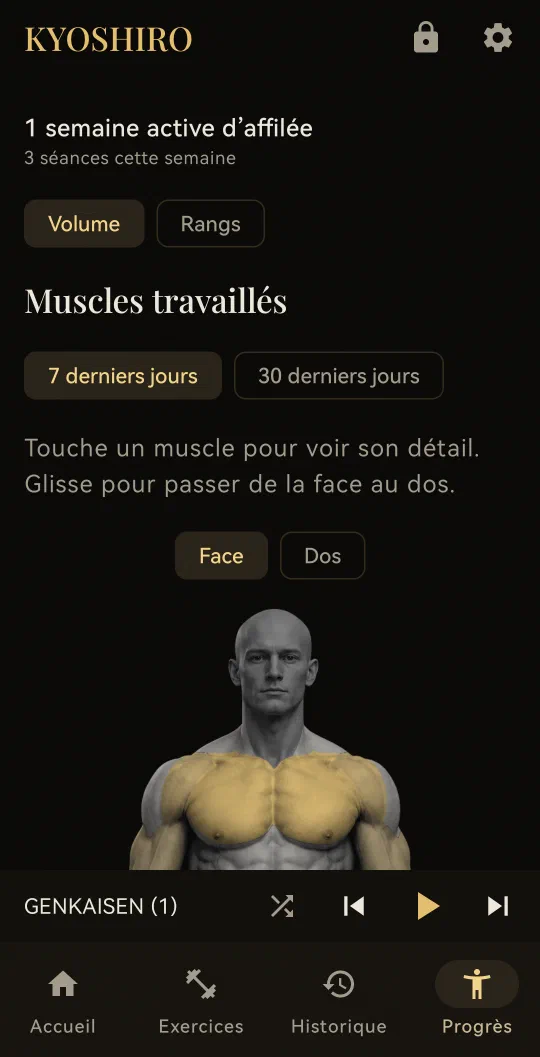 Progrès : muscles travaillés sur la période